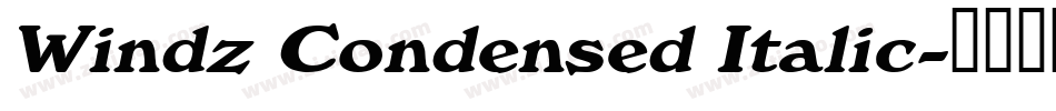 Windz Condensed Italic字体转换